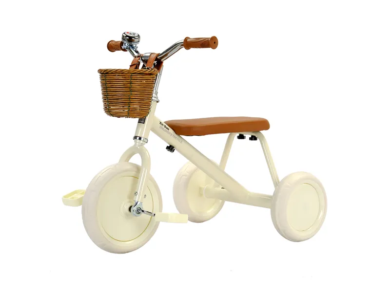 SR-318 Kids Tricycle