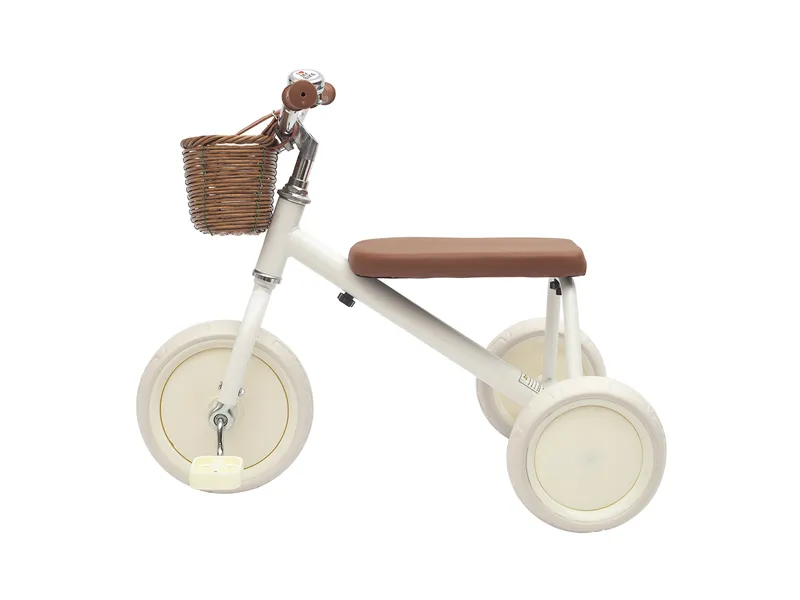 SR-318 Kids Tricycle