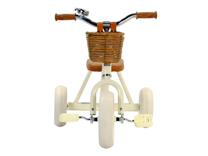 SR-318 Kids Tricycle