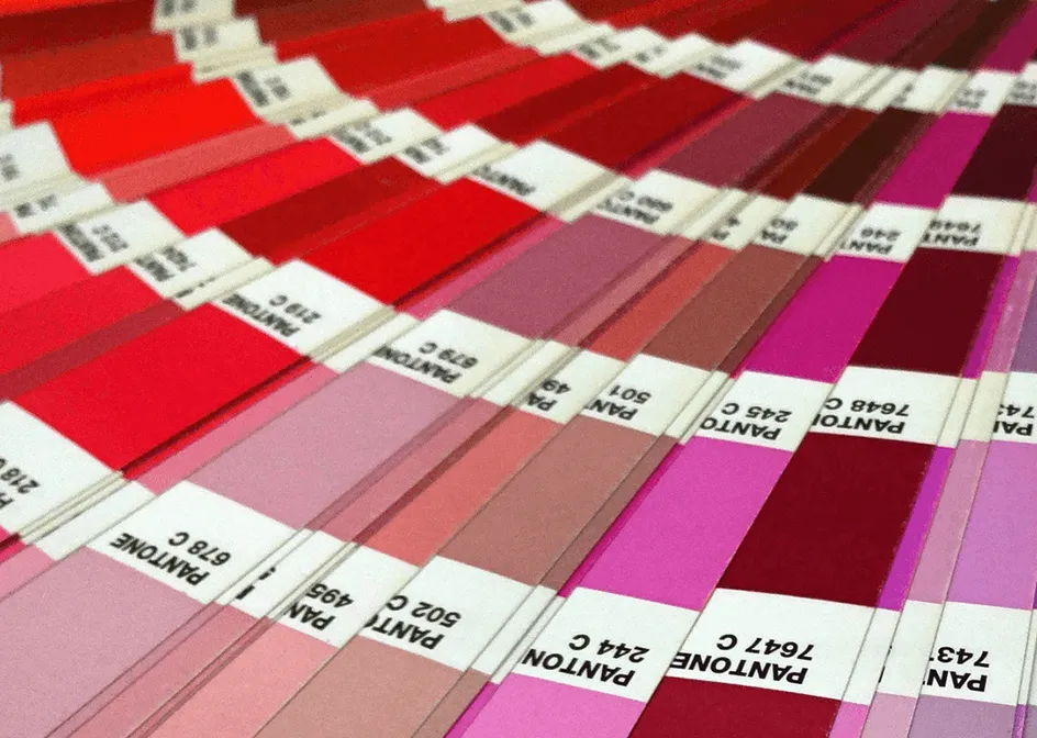 Custom Color Solutions