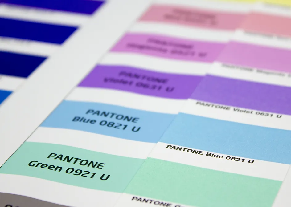 Market-Specific Color Customization