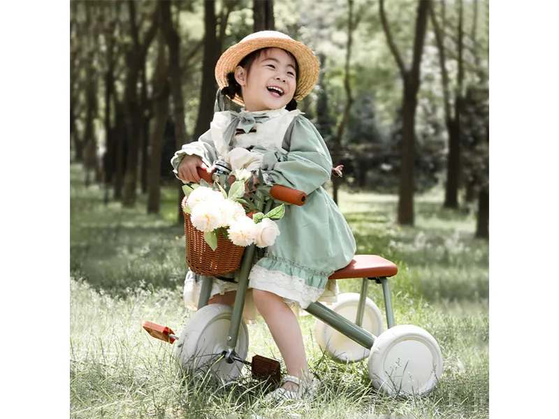 WH-R3 Children's Trikes