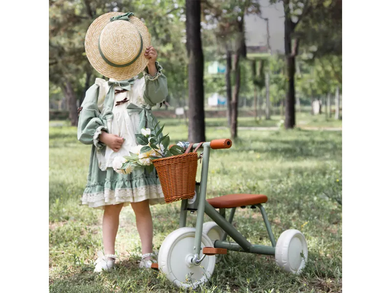 WH-R3 Children's Trikes