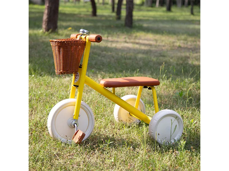 WH-R3 Children's Trikes